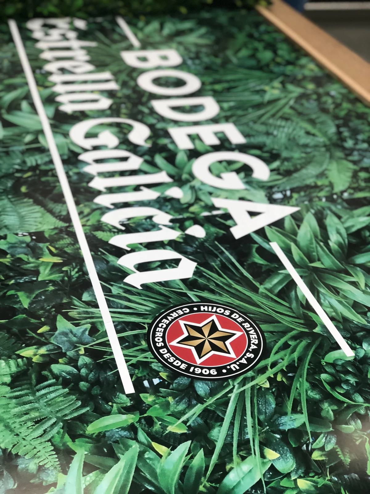 Detalle de la gráfica durante la preparación del trabajo