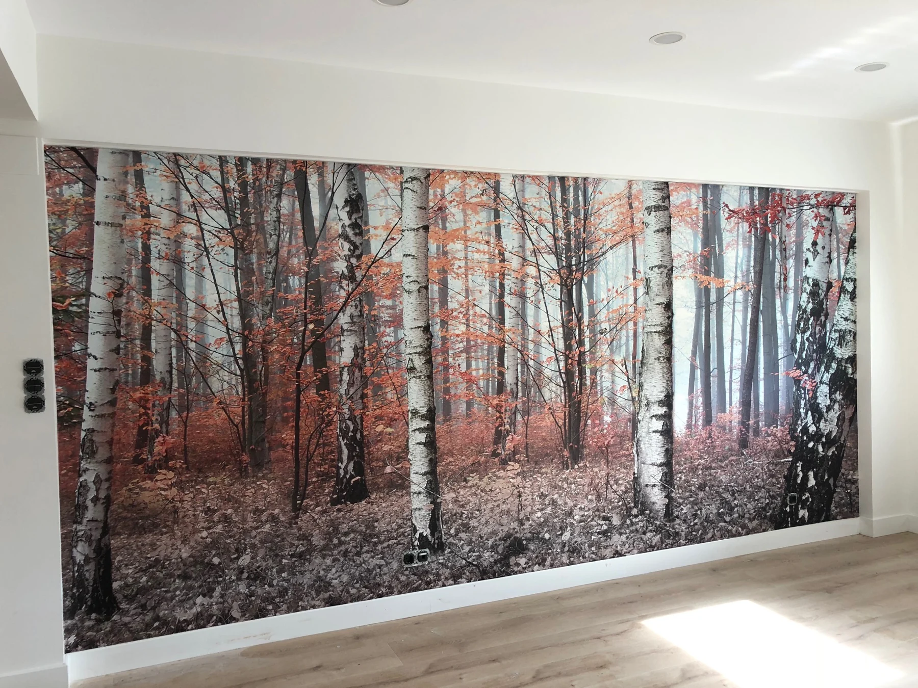 Pared interior revestida con imagen de un bosque